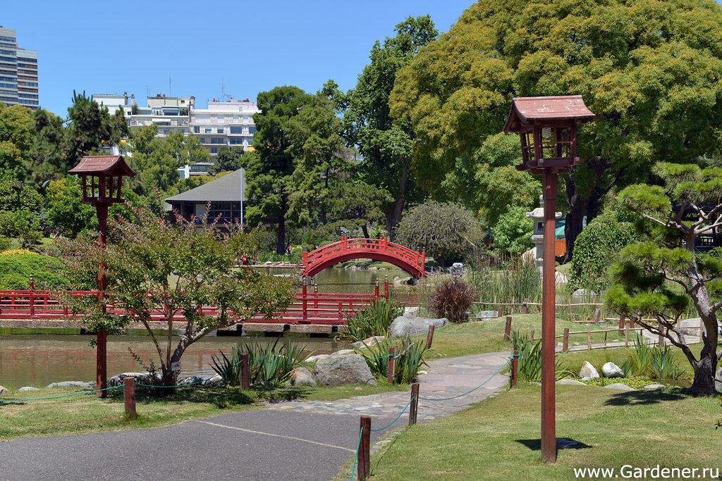 Смартфоны с высокой производительностью игр